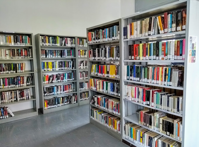 Biblioteca comunale